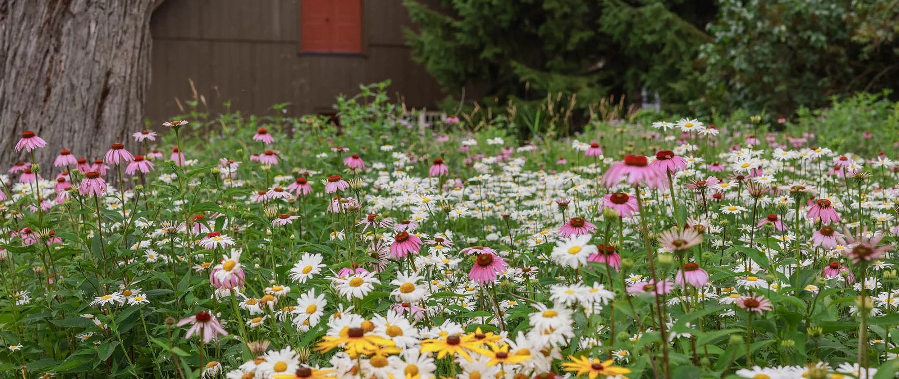 Cultivate Your Natural Masterpiece