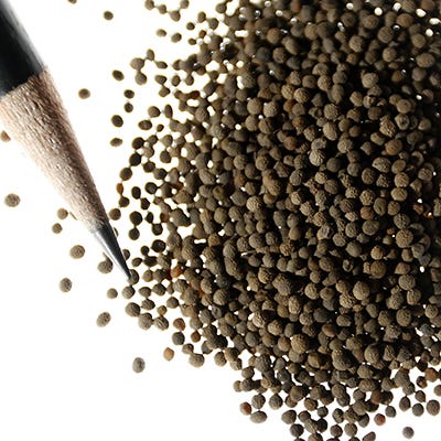 White Linen California Poppy Seeds - Image 2