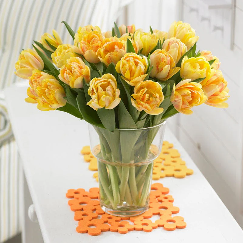 Foxy Foxtrot Double Early Tulip - Image 3