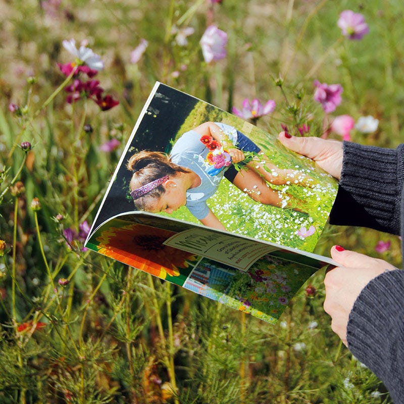 Mini Meadows: Grow A Little Patch Of Colorful Flowers Anywhere Around Your Yard - Image 3