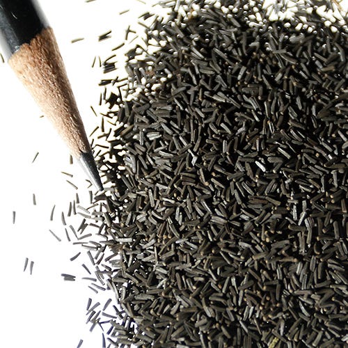 Gloriosa Daisy Seeds - Image 8