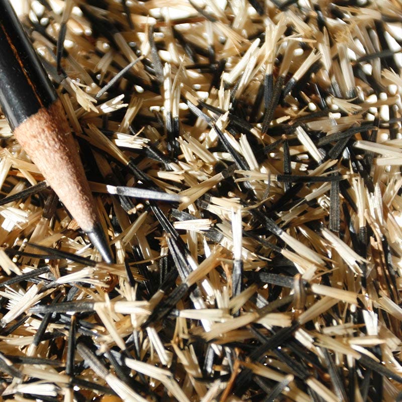 Sparky Marigold Seed Mix - Image 5