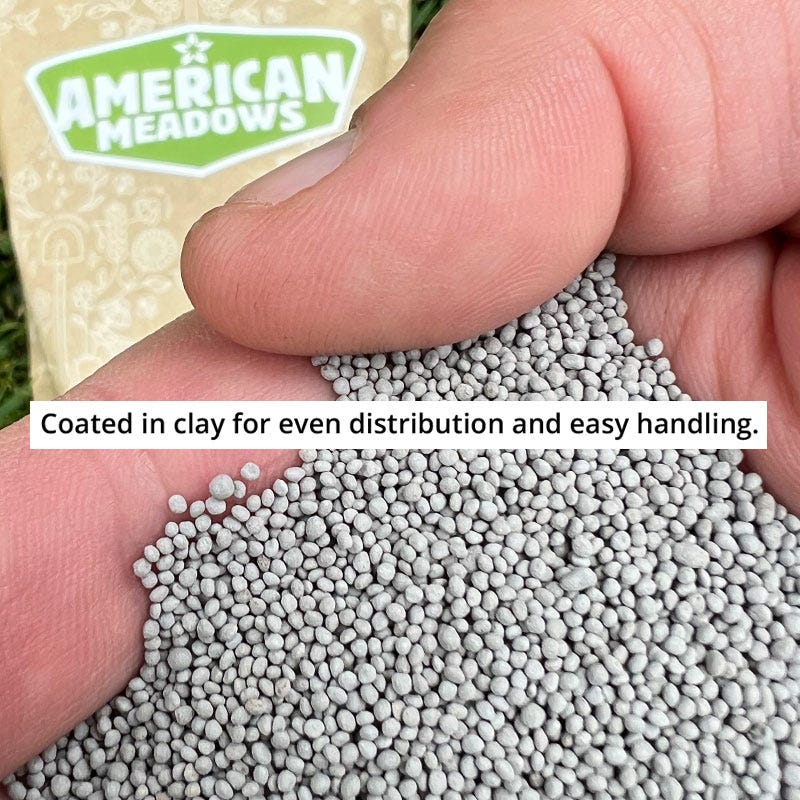 Microclover Seed - Image 6