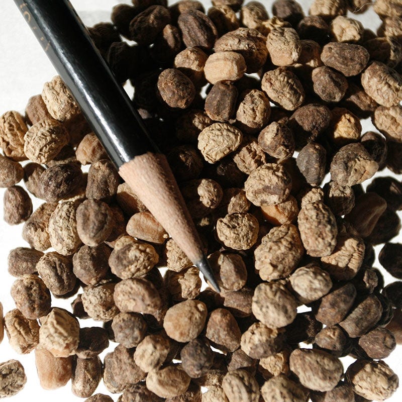 Nasturtium Seeds - Image 4