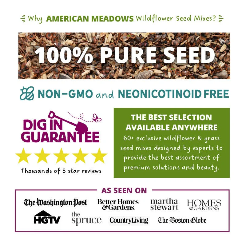 Native Midwest Wildflower Seed Mix - Image 4