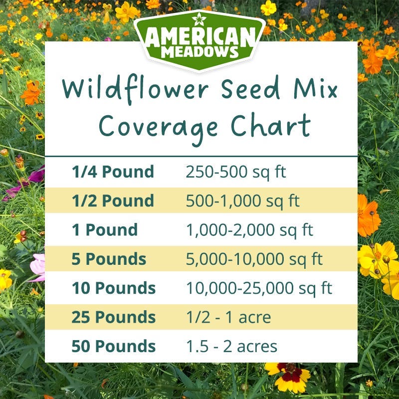 Nevada Select Wildflower Seed Mix - Image 4