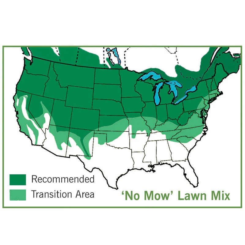 No Mow Lawn Grass Seed - Image 5