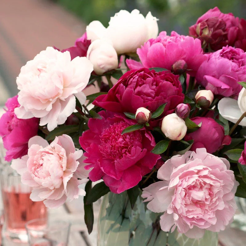 Cotton Candy Peony Mix - Image 2