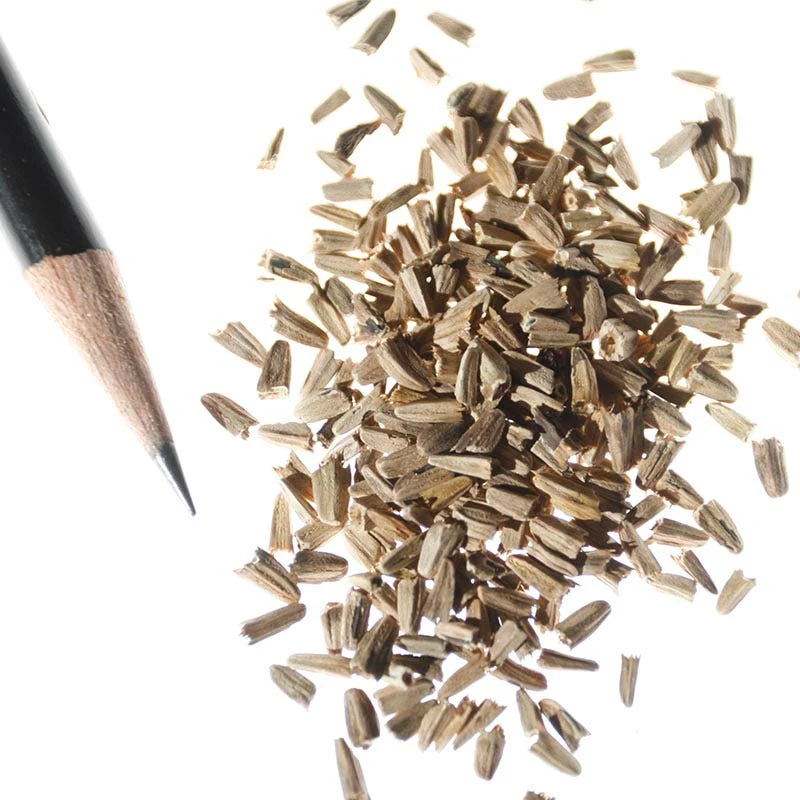 Purple Coneflower Seeds - Image 11
