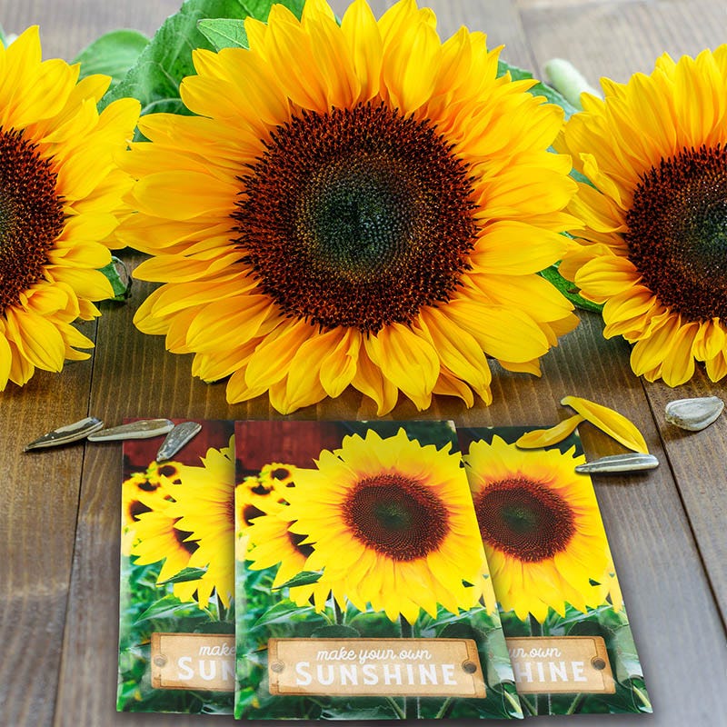 Sunflower Barn Print Seed Packet - Image 2