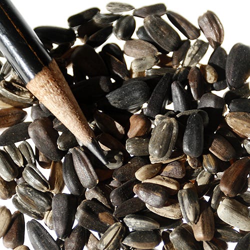 Sunflower Seed Mix - Image 5